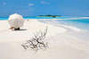 Nika Island Resort 